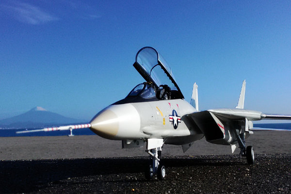 Grumman F-14A Tomcat